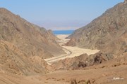 Nuweiba, Deserto del Sinai