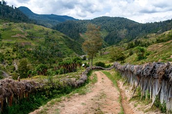 Landscape in New Guinea